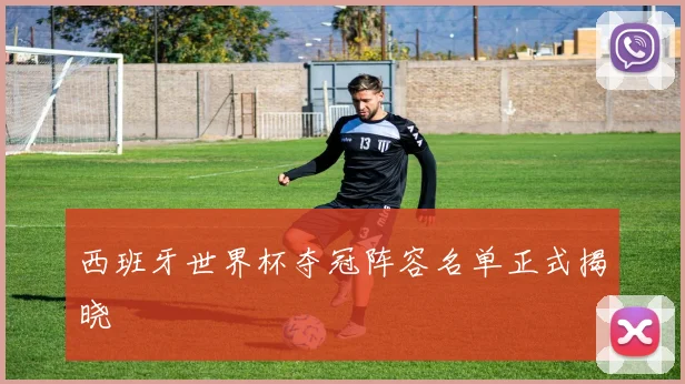 西班牙世界杯夺冠阵容名单正式揭晓